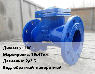 Клапан стальной 100 19с47нж Ру2.5 обратный, поворотный, по запросу, шт цена от 9857 ₼ / шт, где купить, условия доставки в Баку и Бакинская области